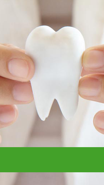 startseite_slider_1140x700_spezialisiert